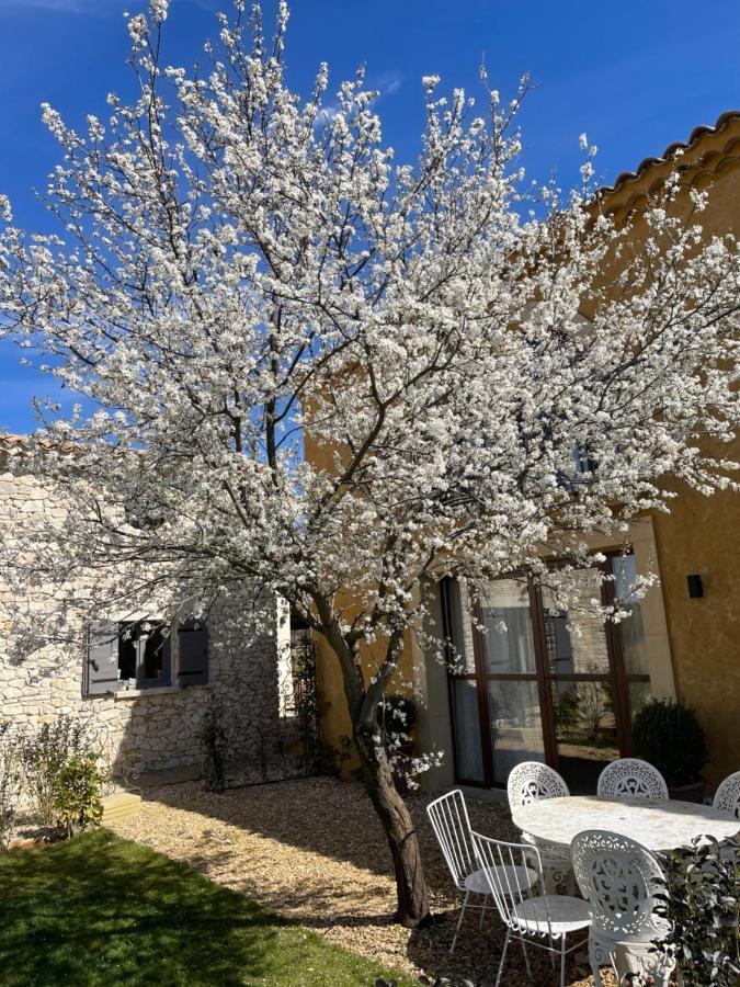 Domaine D'Egenia Villa Roussillon en Isere Dış mekan fotoğraf