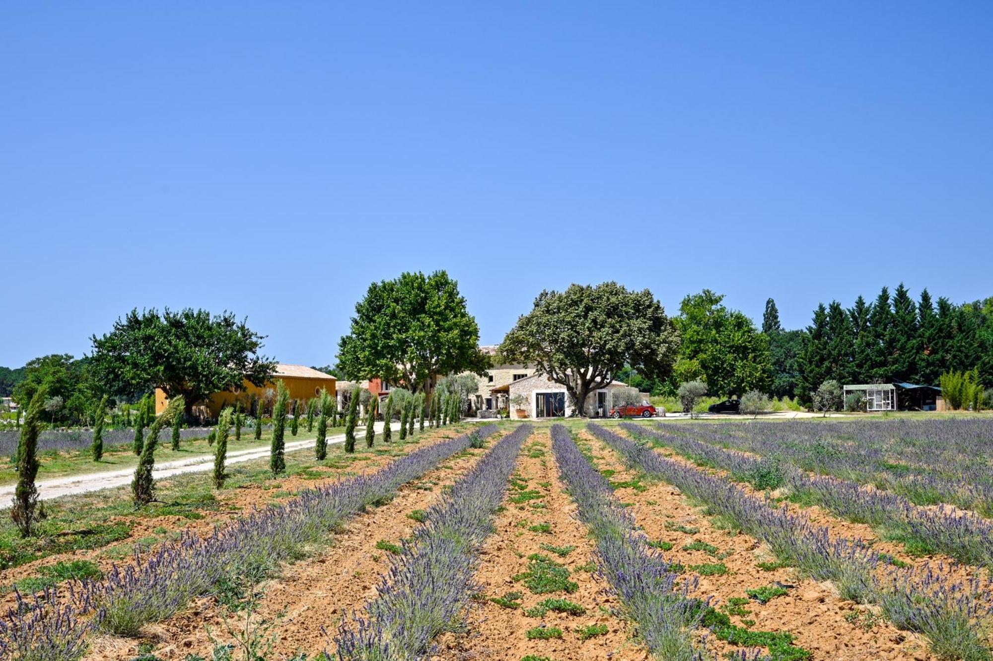 Domaine D'Egenia Villa Roussillon en Isere Dış mekan fotoğraf