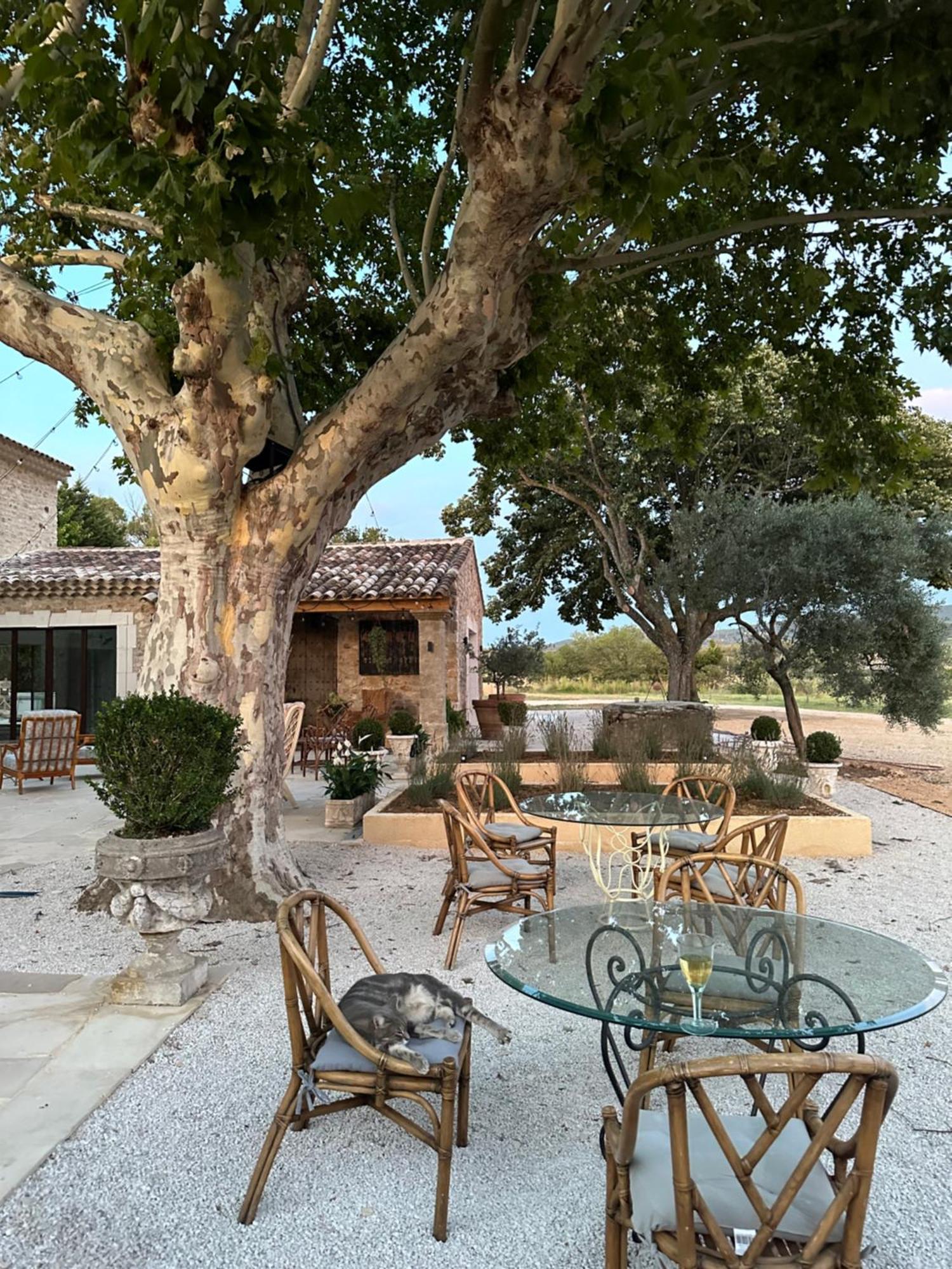 Domaine D'Egenia Villa Roussillon en Isere Dış mekan fotoğraf